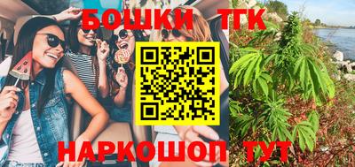 spice Камышлов