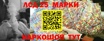 spice Камышлов